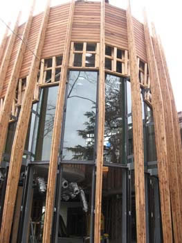 Oil based wood preservative and stain